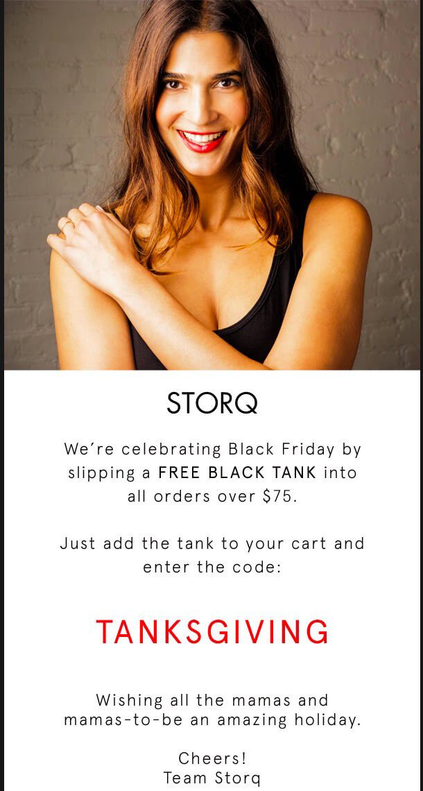 Black Friday Freebie Email Campaign